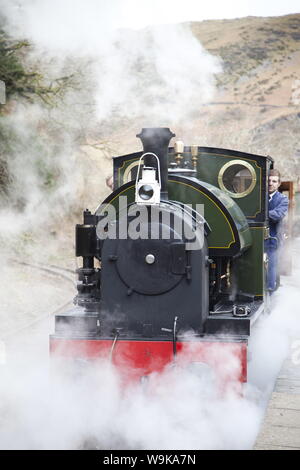 Talyllyn Railway, Gwynedd, Pays de Galles, Royaume-Uni, Europe Banque D'Images