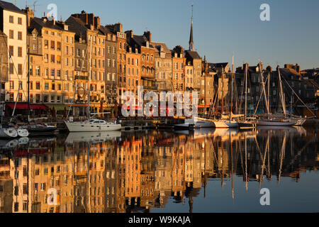 Saint Catherine dans le Vieux Bassin au lever du soleil, Honfleur, Normandie, France, Europe Banque D'Images