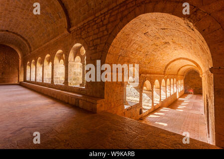 L'Abbaye du Thoronet dans le Var, Provence, France, Europe Banque D'Images