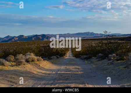 Longue plage de chemin de terre disparaissant dans le vaste désert de Mojave Banque D'Images