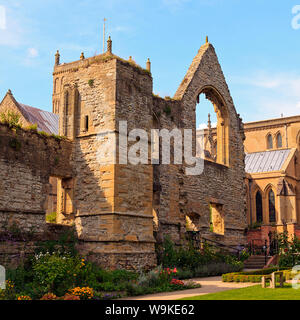 Une partie des ruines des archevêques d'York's Southwell Palace dans le parc de Southwell Minster, Nottinghamshire Banque D'Images