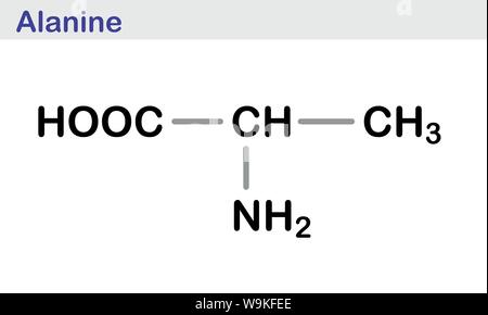 L'Alanine formule topologique Illustration de Vecteur