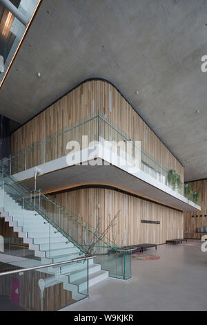 La bande de peuplier, l'extérieur de l'auditorium principal. Théâtre DE KOM, Nieuwegein, aux Pays-Bas. Architecte : de Architekten Cie, 2012. Banque D'Images