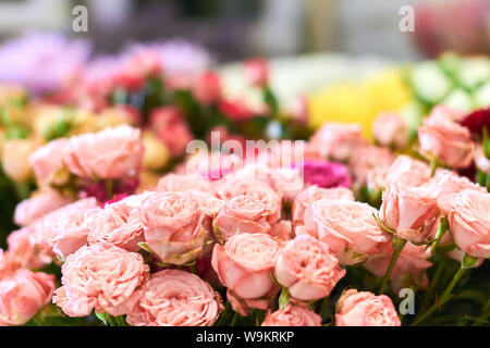 De nombreuses broches roses sont vendus dans la boutique de fleurs différentes fleurs colorées, dans l'arrière-plan flou de la photo Banque D'Images