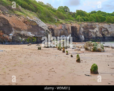 En bois ancien épi messages dans le sable sur la plage de Sandsend près de Whitby sur la côte du Yorkshire du Nord Banque D'Images