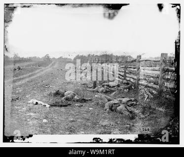 Antietam, Maryland Confederate dead par une clôture sur le Hagerstown road Résumé : Guerre civile sélectionné des photographies, 1861-1865 Banque D'Images