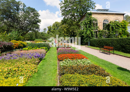 Lund Suède ; Journée ensoleillée en août dans le Jardin botanique de Lund, administré par l'université de Lund, Suède Scandinavie Europe. Banque D'Images