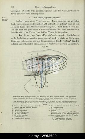 Die pot des Frosches (page 92) Banque D'Images