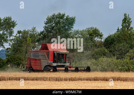 ROCHFORD, ESSEX, Royaume-Uni - ULY 25, 2018 : moissonneuse-batteuse Massey Ferguson en milieu rural Banque D'Images