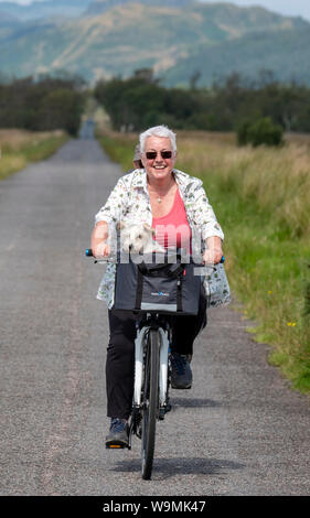 Portrait of a happy cyclist portant un petit chien dans son panier de vélo près de Crinan, Argyll. Banque D'Images