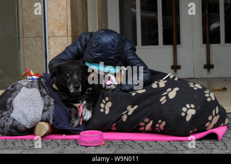 Lady tramp avec deux chiens dans les rues de Berlin. L'un des chiens a une sucette de bébé, les deux autres les yeux clairs Banque D'Images