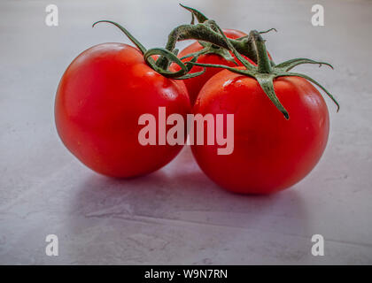 Vue de côté de trois grandes tomates rouges sur la vigne sur un fond blanc fond rustique texturé Banque D'Images