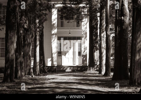 L'entrée du prix Pulitzer, William Faulkner's home, une conception néo-grec primitif, connu sous le nom de Rowan Oak à Oxford, MS Banque D'Images