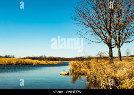 L'eau bleu creek dans une journée froide mais ensoleillée avec de hautes herbes sèches sur les rives avec des prises à libertyville Illinois Banque D'Images