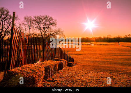 Tons rose lever du soleil sur la colline avec une barrière en bois et bottes de paille prise à Schiller Park IL forest preserve Banque D'Images