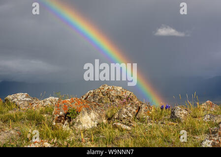 Arc-en-ciel lumineux incroyable close-up sur les montagnes et d'une vallée contre un ciel d'orage avec pluie et nuage et rochers en premier plan Banque D'Images