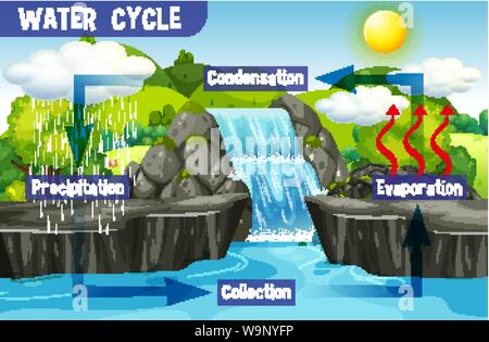 Processus du cycle de l'eau sur Terre - illustration scientifique Illustration de Vecteur