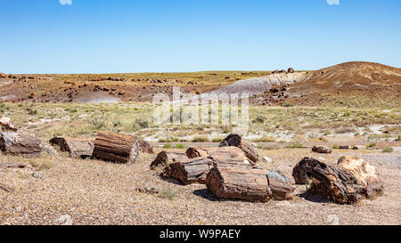 Parc National de la Forêt Pétrifiée, Arizona, États-Unis d'Amérique. Grumes de bois pétrifiés, Painted Desert landscape, jour de printemps ensoleillé Banque D'Images