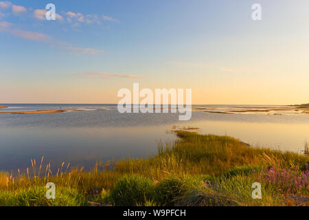 L'île de Hailuoto (Huikku beach )soir d'été au coucher du soleil,l'île de Hailuoto,Ostrobotnie du Nord,Finlande Banque D'Images