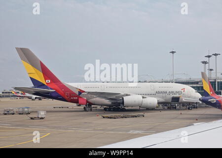 Asiana Airlines Airbus A380-841 sur l'aéroport Incheon de Séoul. (Photo CTK/Ivo Stejskal) Banque D'Images