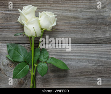 Magnifique bouquet de roses blanches trois élégantes sur une longue tige avec feuilles vertes sur un vieux fond de bois gris Banque D'Images
