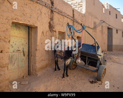 Ville du désert de Mhamid, Maroc village avec des dunes de sable de la nature et de la vieille mosquée musulmane en Afrique du Nord, l'ancien des rues étroites, des architectures traditionnelles de boue d'argile Banque D'Images