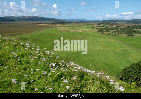 Vue depuis le haut de Dunadd Fort, Kilmartin Glen, Argyll, Scotland. Banque D'Images