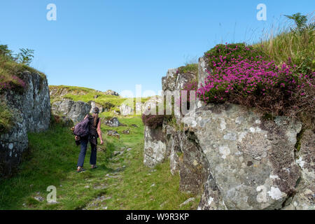 Un chemin d'accès jusqu'à Dunadd Fort, Kilmartin Glen, Argyll, Scotland. Banque D'Images