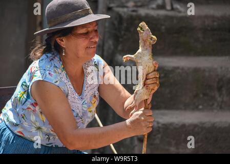 Femme de la région, les brochettes de Cuy cobaye géant sur un bâton pour faire cuire sur un feu, la préparation d'un plat traditionnel Cuy Cusco, Pérou Banque D'Images