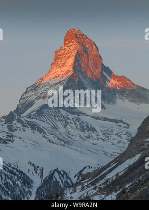 Im Morgenlicht Matterhorn, Zermatt, Valais, Suisse Banque D'Images