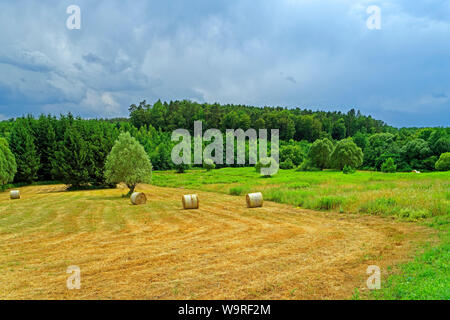 Örség, Wächterregion, Landschaft, Wiese, Heuballen Banque D'Images