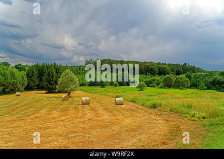 Örség, Wächterregion, Landschaft, Wiese, Heuballen Banque D'Images