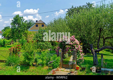 Örség, Wächterregion Gartenpforte, Garten, Banque D'Images