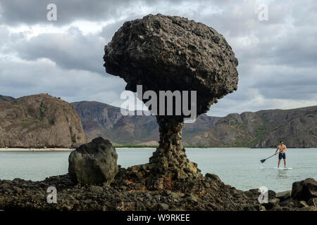 L'Amérique centrale, le Mexique, la Basse-Californie, La Paz, Playa Balandra, mushroom rock *** *** légende locale Banque D'Images