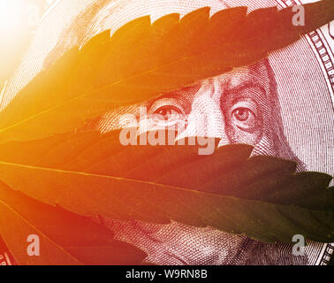 Photo en gros plan des feuilles de cannabis sur United States Dollar Bills. Banque D'Images
