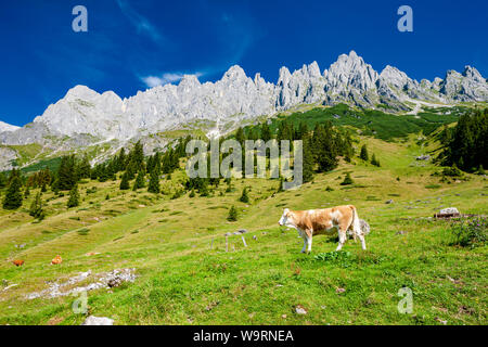 Alpes autrichiennes, à proximité et Arturhaus Bischofshofen Banque D'Images