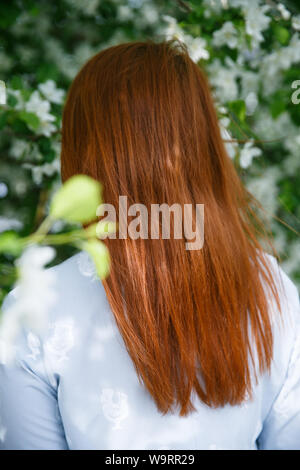 Belle jeune fille rousse posant et rêver dans les couleurs d'une pomme au printemps au coucher du soleil Banque D'Images