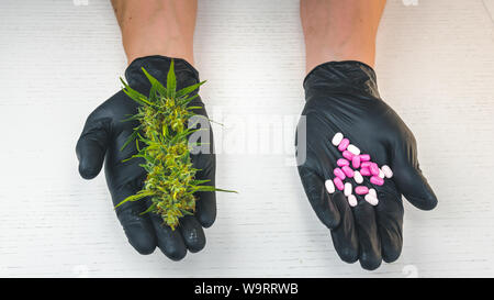 La personne tient dans sa main les bourgeons de marijuana médicale et des pilules. Le cannabis est un concept de médecine de fines herbes Banque D'Images