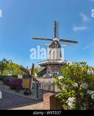 Moulin appelé De Weert avec un modèle-moulin dans un jardin de devant, 30063852 *** *** légende locale Banque D'Images