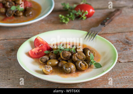 De délicieux escargots des Pouilles appelé munaceddi avec sauce tomate, l'origan sur un fond de bois, Close up et copy space Banque D'Images