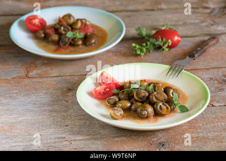 De délicieux escargots des Pouilles appelé munaceddi avec sauce tomate, l'origan sur un fond de bois, Close up et copy space Banque D'Images