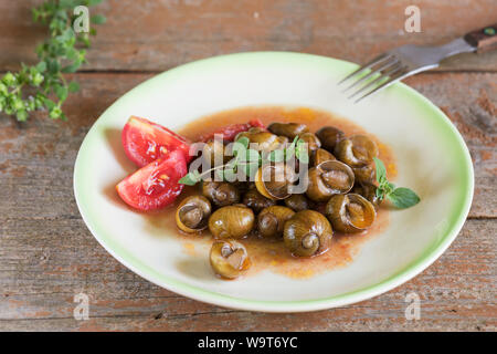 De délicieux escargots des Pouilles appelé munaceddi avec sauce tomate, l'origan sur un fond de bois, Close up et copy space Banque D'Images