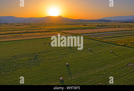 Vue aérienne des champs près de Sinj avec bottes de foin dans la campagne, Croatie Banque D'Images