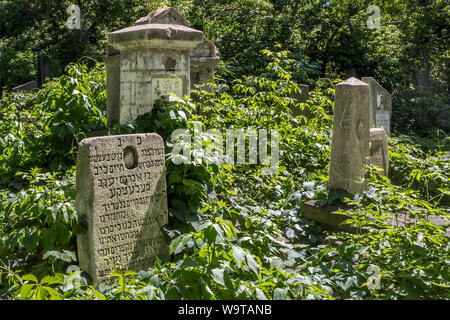 Cimetière juif Chisinau Moldavie Banque D'Images