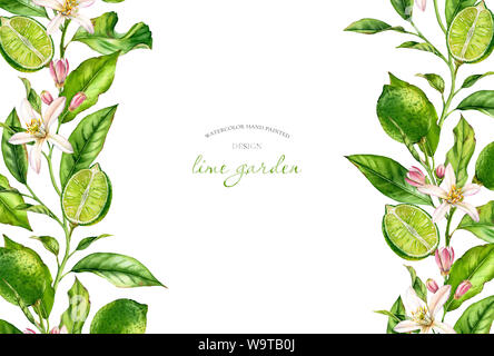 La structure horizontale de la direction générale de la chaux avec des fleurs fruits botaniques réaliste aquarelle bannière : les feuilles des arbres d'agrumes sur les côtés isolated on white hand drawn Banque D'Images
