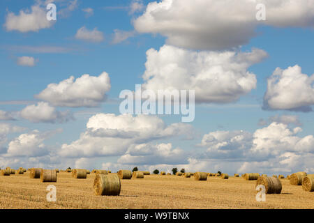 Temps de récolte - bottes de foin dans un champ sur une belle journée d'été avec un ciel bleu et nuages Banque D'Images