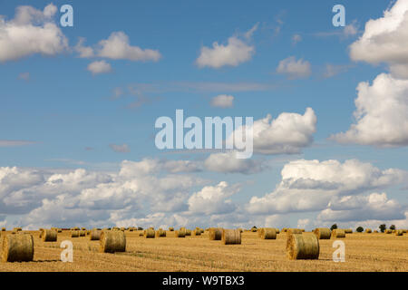 Temps de récolte - bottes de foin dans un champ sur une belle journée d'été avec un ciel bleu et nuages Banque D'Images