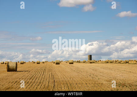 Temps de récolte - bottes de foin dans un champ sur une belle journée d'été avec un ciel bleu et nuages Banque D'Images