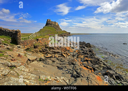 Linisfarne Château du rivage près de l'ancienne île Sainte, jetées, Lindisfarne, Northumberland, England, UK. Banque D'Images