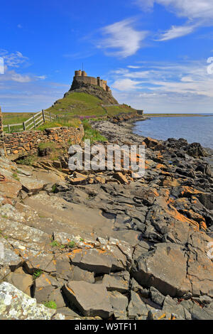 Château de Lindisfarne du rivage près de l'ancienne jetée, Île Sainte, Lindisfarne, Northumberland, Angleterre, ROYAUME-UNI. Banque D'Images